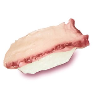 Tako-Nigiri
