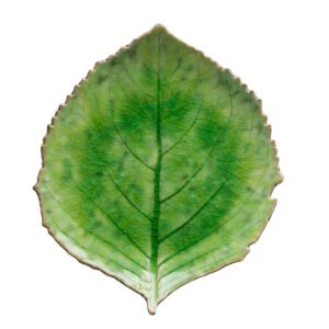 Teller Hydrangea Leaf | Costa Nova