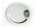 A1053_taisan